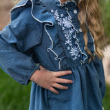 Kids Blue Check Embroidered Ruffle Long Sleeve Fall Dress