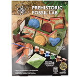 Fossil Lab 4-unit case pack